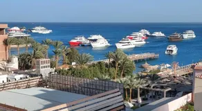 Diamond Resort - Image 4