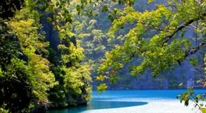 ISLANDERS INN - CORON - Image 5