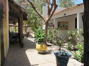 Blue Africa - Image 3