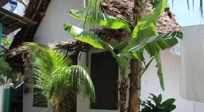 HOMELAND SWAHILI LODGE Nungwi Backpacker Apartments BUDGET - Image 2