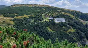 Pensiunea Montan - Image 2