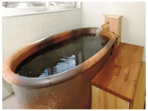 Tohoku Onsen - Image 2