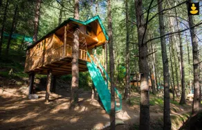 Adventure treehouse for the adrenaline lovers - Image 4