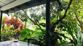 Asiri HomeStay - Image 4