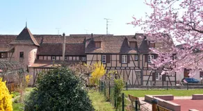 Le Dolder Gîte de Luxe classé 4 étoiles au coeur des remparts de Riquewihr - Animaux de compagnie acceptés - Image 4