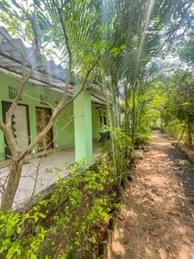 Naahar Vann - Image 2
