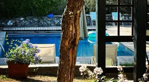 Il Gelso - Image 3