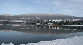 Au Coeur du Lapidaire - Image 4