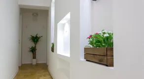 Canton del Gallo - Image 4