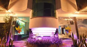 Hotel Florida Sincelejo - Image 4