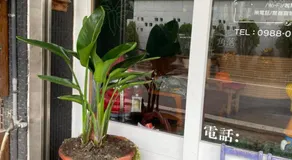 Backstreet Inn - Image 3