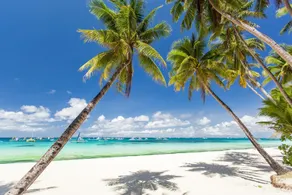 Tamaraw Beach Resort - Image 5