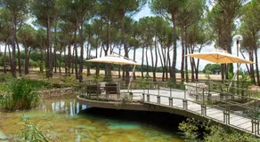 Hotel Villa dei Pini - Image 5