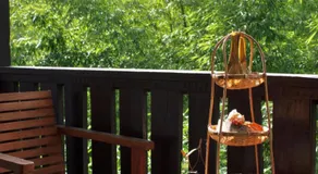 Bamboori Boutique Resort - Image 5