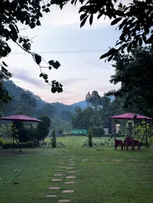 Camp Serene Bhimtal - Image 5