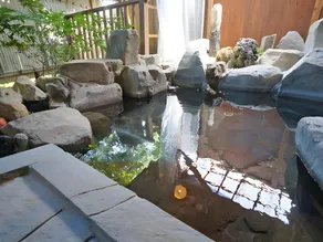 Ban-Ya Hot Spring Inn - Image 2