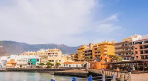 Live Puertito Muelle - Image 3