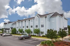 Microtel Inn & Suites by Wyndham Meridian - Image 3