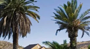 Casa Fuerteventura - Image 5