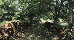 CASA ALBA DE SAN ROMÁN - Image 5