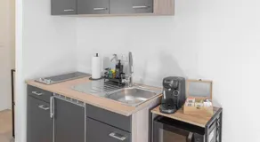 Premium Black Forest Suite - Apartment - Image 4