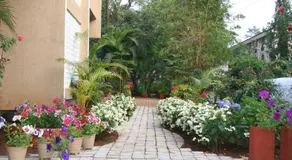Hotel Ferreira Resort - Image 5