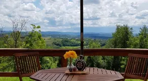 Pet friendly cabin with amazing view - Image 3