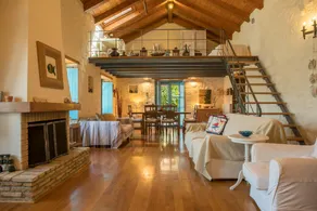 glamorous Villa- Stuning view at Oitylo gulf - Image 4
