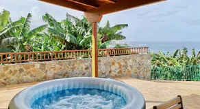 Banana Paradise - Image 3
