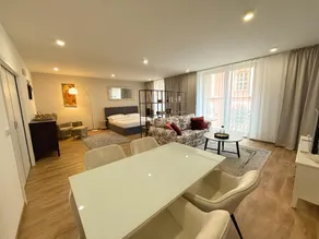 Veleslaveenka - Spacious Apartment in Pilsen Old Town - Image 2
