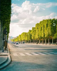 Paris Villas - Image 5