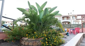 Hotel Jasmine - Image 5