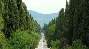 Grande appartamento uso esclusivo, giardino, posto auto, barbecue, aria condizionata - Image 2