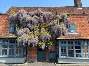 Broad Leys - Image 4