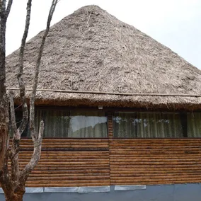 Red house home stay /Forest in side - Image 3