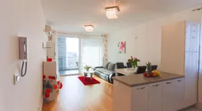 APARTMENTS ARIJANA free private garage and sea view - Image 5