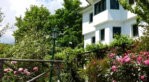 Pepromeno Boutique - Image 3