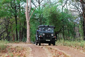 K Gudi Wilderness Camp-Jungle Lodges - Image 5