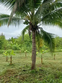 Khunyaikiew homestay - Image 3