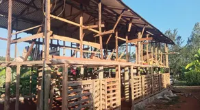 Miale Guests Cottages - Image 3