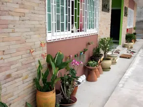 Green Place Apartment - Image 2