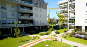 New Living Milano - Image 5