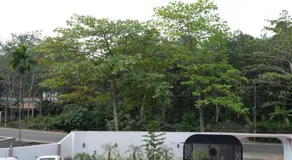 Liger Resort - Image 5