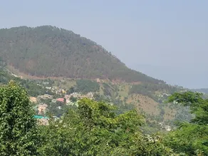 Riva Palace Homestay Rewalsar Lake Distt Mandi h.p - Image 3