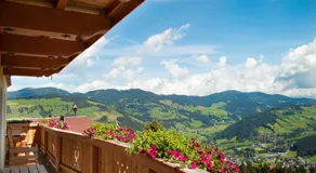 Ferienwohnungen Krapfenalm - Image 4
