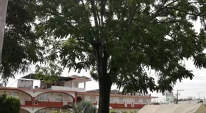 Hotel Los Cedros - Image 3