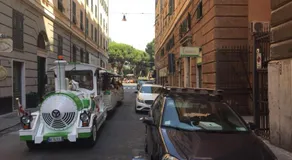 Acciuga - Image 5