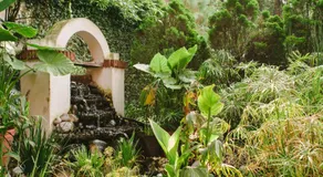 Villas Sol y Luna Coyoacan - Image 5