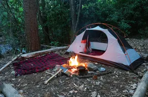 Trek with wasu - Image 4