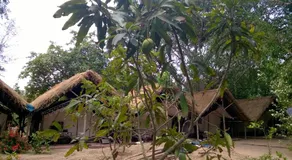 Nature Camp Konark Retreat - Image 2